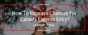 How To Increase Chances For Canada Express Entry Expert Tips 1024x410 1