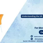 Understanding the UK Student Visa Credibility Interview Understanding the UK Student Visa Credibility Interview