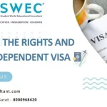 Understanding the Rights and Limitations of Dependent Visas Understanding The Rights And Limitations Of Dependent Visa